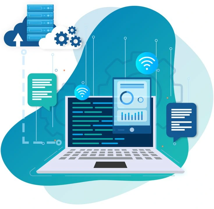 Building Kerala’s Digital Look with Fresh Web Design